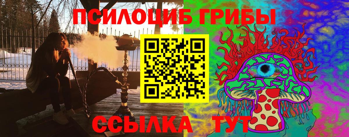 Псилоцибиновые грибы Psilocybine cubensis  Псилоцибиновые грибы Cubensis  Вход с VPN  Лосино-Петровский 